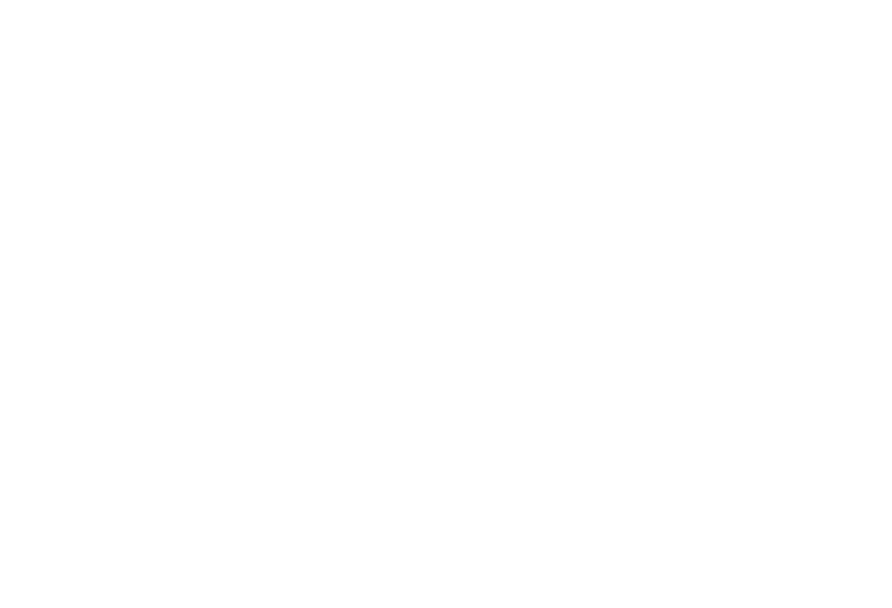 Twin Feathers logo